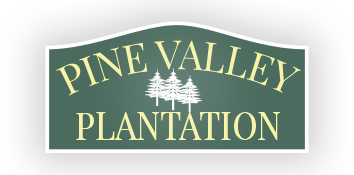 Pine Valley Plantation Mobile Home Park