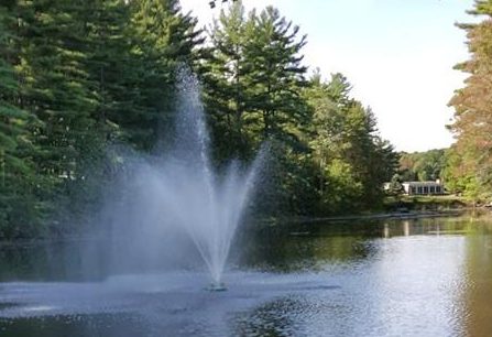 Everyone loves our beautiful fountain at Pine Valley. It is a landmark for the park from spring to autumn.