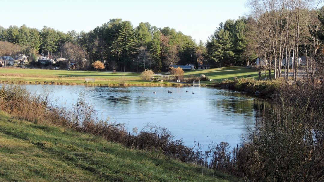 Gallery Pine Valley Plantation Mobile Home Park