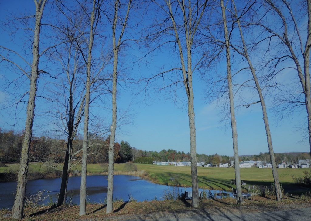 Gallery Pine Valley Plantation Mobile Home Park